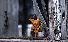 photo "Empty house"
