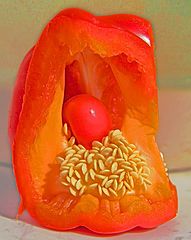 фото "'Sticky Fingers'"