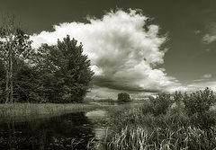 photo "***"