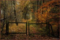 photo "***"