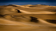 фото "Waves of Sand"