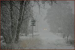 photo "***"