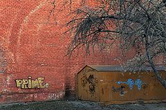фото "***"