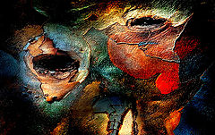 photo "***"