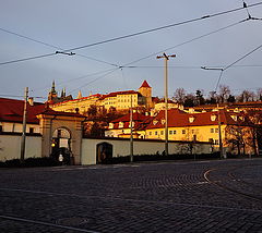 photo "Утро"