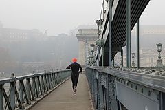 фото "туманное утро на мосту через Дунай"