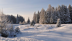 фото "Редкое солнце"