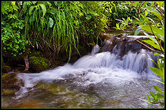 photo "Deer river"