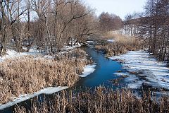 фото "Погожий зимний день"