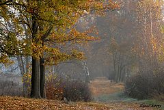 photo "***"