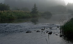 photo "***"