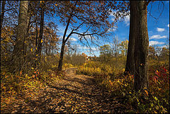 фото "Осень..."