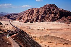 photo "THE ROAD"
