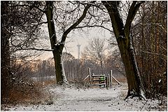 photo "***"