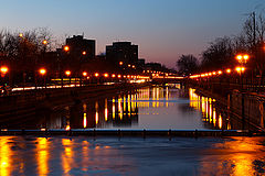 photo "Golden reflections"