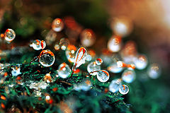 photo "***"