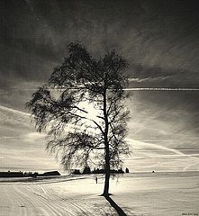 photo "SunGoesDown"