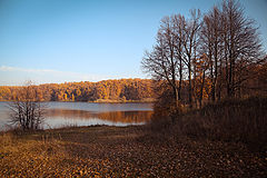 фото "....."