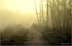 photo "***"