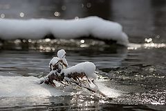 фото "Солнечные зайчики"