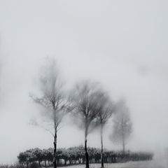 photo "Winter fog"