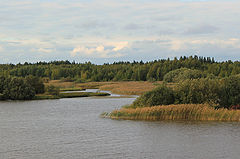 photo "Sheksna River. Volga-Baltic Waterway."