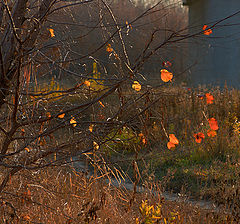 photo "***"