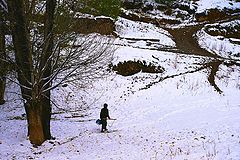 фото "snow ..."