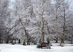 фото "кружева..."