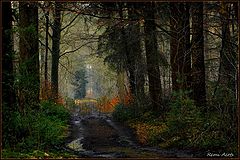 photo "***"