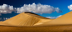 фото "Golden Dunes"