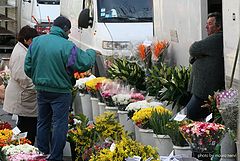 фото "market, the seller of flowers"