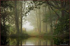 photo "***"