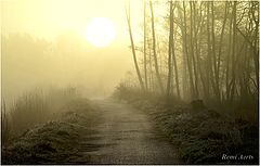 photo "***"