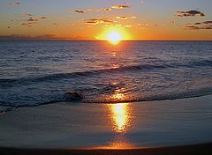 photo "Golden sunset..."