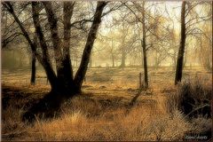 photo "***"