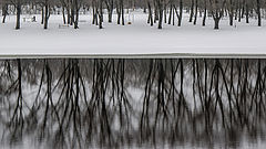 photo "***"