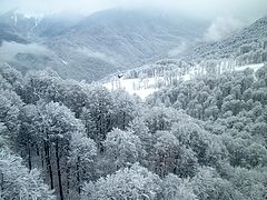 photo "Rosa Khutor. Cloudy #02"