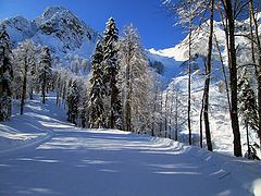 photo "Rosa Khutor. Sunny!"