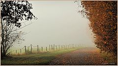 photo "***"
