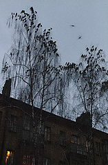 фото "Смеркается"
