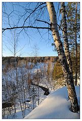 фото "первые дни весны"