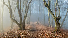 photo "***"