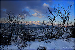 photo "Evening Hermon"