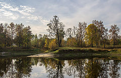 photo "***"