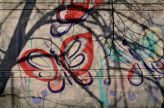 фото "***"