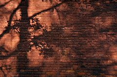 photo "***"