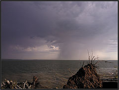 photo "Storm sky"