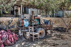 фото "WRECK"