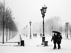 photo "***"